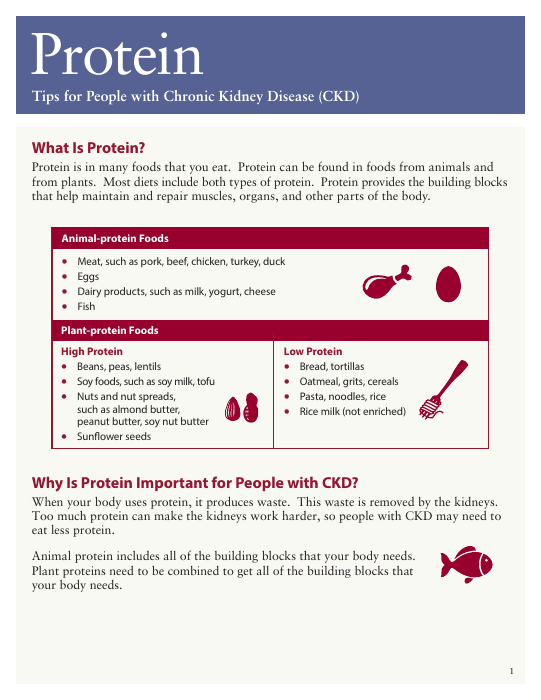 First page of the protein guide