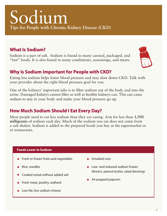 First page of the sodium guide